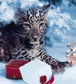 Леопардик в рекламе