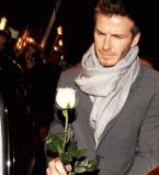 Дэвид Бекхэм с розой