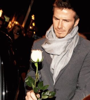 Дэвид Бекхэм с розой