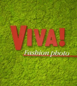 вива выставка