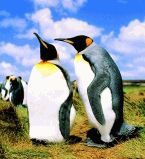 Пингвины - торпеды в перьях