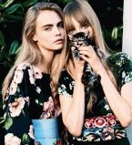 кара и животные