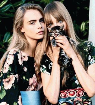 кара и животные