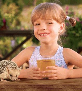 садочок пиар 3