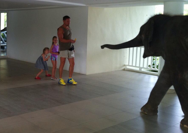 Константин Стогний