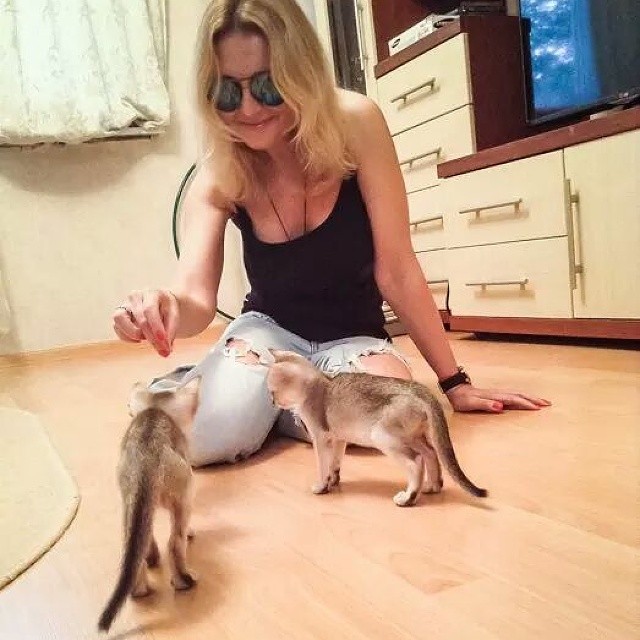 Анжелика Варуми завела кота