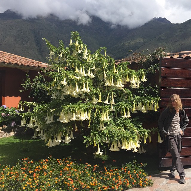 Ксения Собчак и Максим Виторган путешествуют по Перу