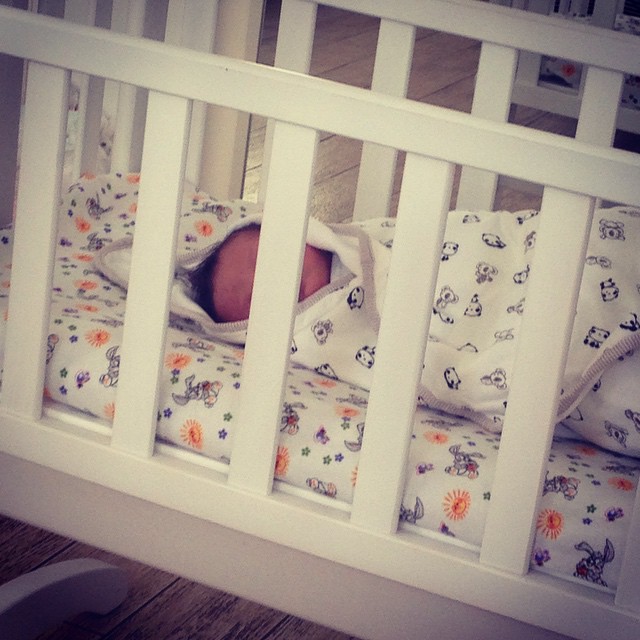 Ольги Цибульской сын Нестор