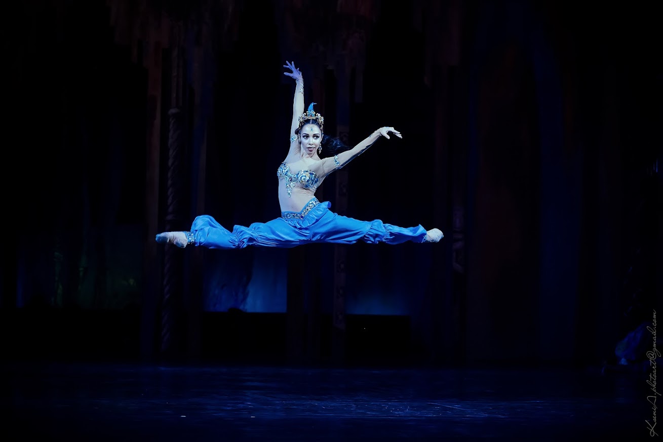 Monatik, Ирина Горовая, Остап Ступка посетили премьеру балета с участием Екатерины Кухар