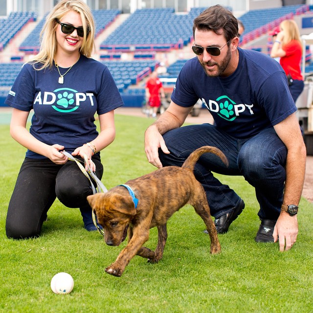 Хью Джекман, Леди Гага, Пэрис Хилтон: звезды показали своих четвероногих друзей