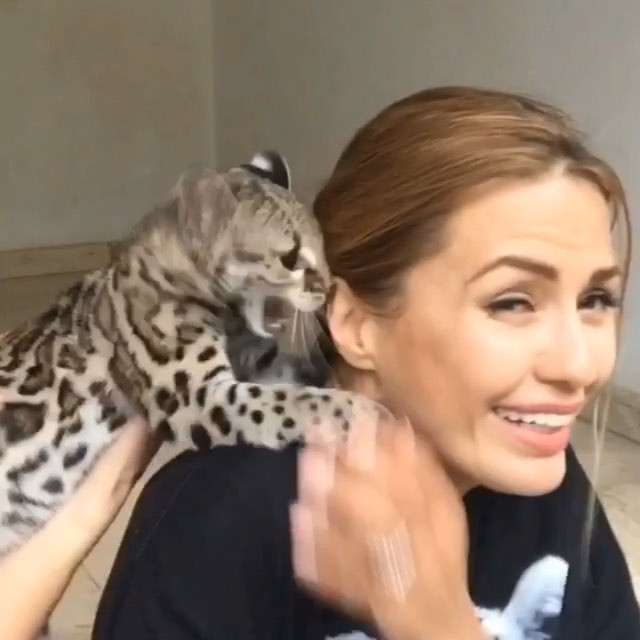 Виктория Боня заобнимала львят