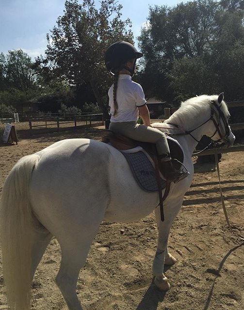 Папина умница: Дэвид Бекхэм показал, как малышка Харпер читает перед сном