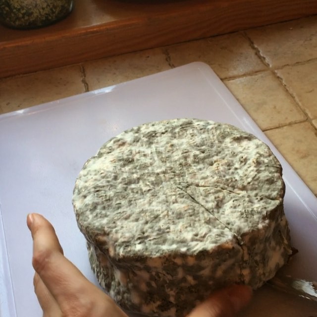 Суперхозяйка: Оля Полякова сделала итальянский сыр из молока своих коз