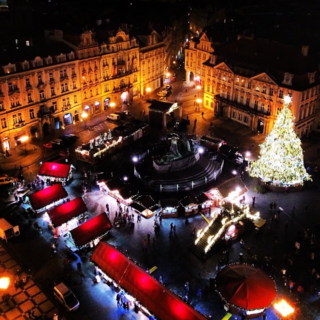 виктория дайнеко фото