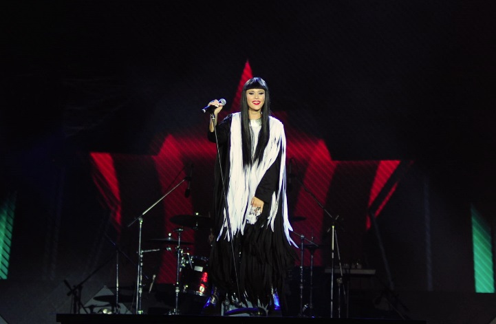 звезды на концерте ко Дню Независимости Украины