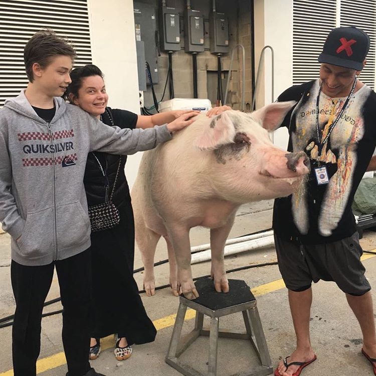 Поклонники не узнали 43-летнюю Наташу Королеву без макияжа