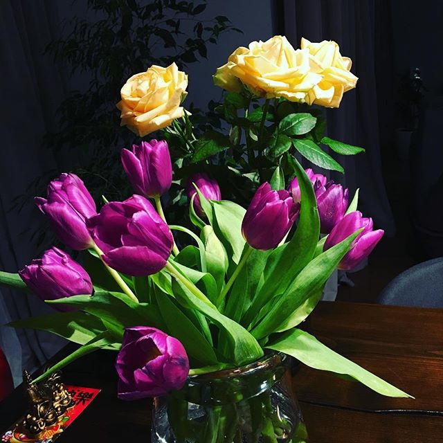 Приятности молодой мамы: Катя Осадчая показала, что ее радует во время декрета