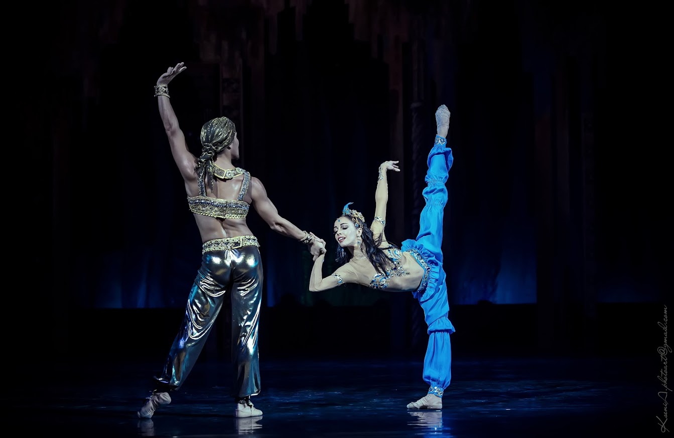 Monatik, Ирина Горовая, Остап Ступка посетили премьеру балета с участием Екатерины Кухар