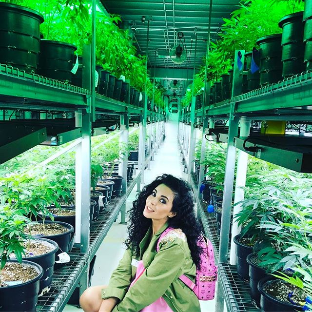 Веселая поездка: Настя Каменских и Потап побывали на заводе марихуаны