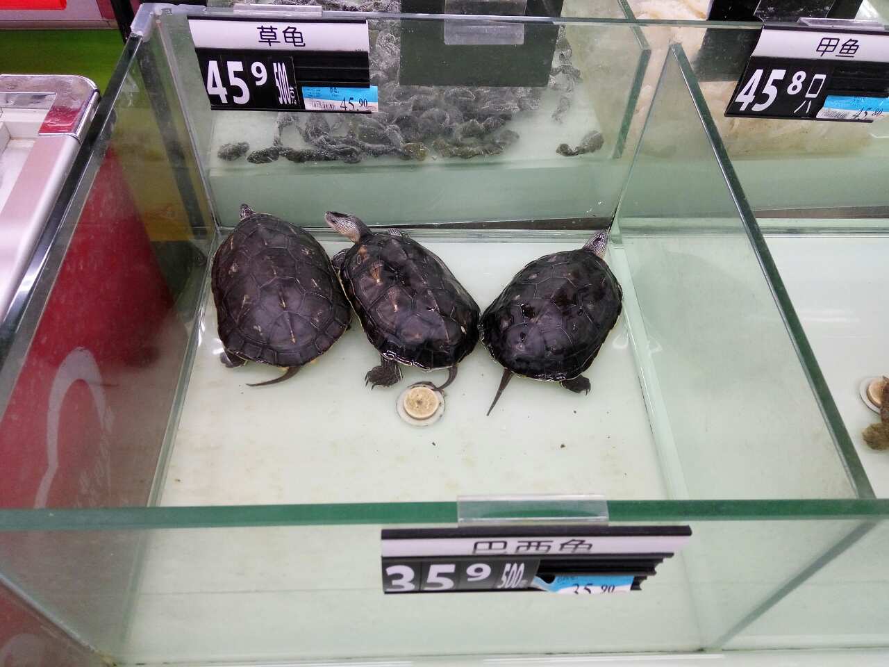 Владимир Гришко рассказал о своей жизни в Китае