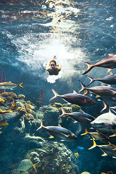 Опасная красота: Рианна снялась в фотосессии с акулами