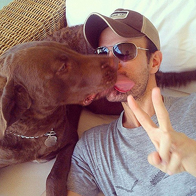 Хью Джекман, Леди Гага, Пэрис Хилтон: звезды показали своих четвероногих друзей