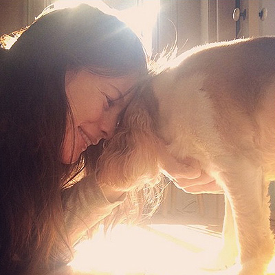 Хью Джекман, Леди Гага, Пэрис Хилтон: звезды показали своих четвероногих друзей