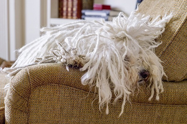 Дочь Марка Цукерберга удивила всех своим первым словом