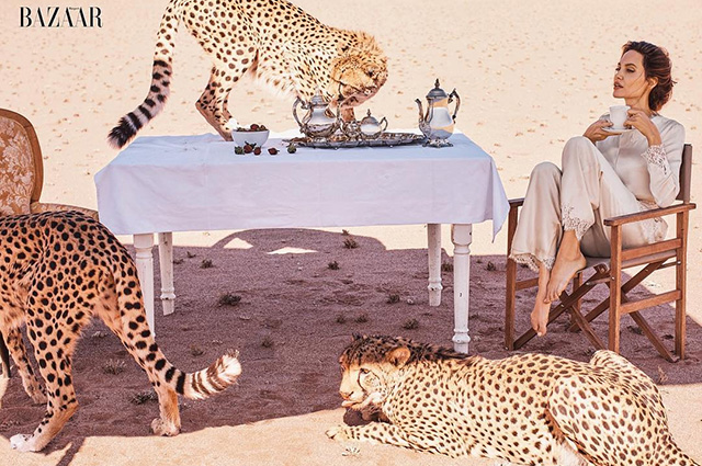 Лучшая фотосессия года: Анджелина Джоли снялась для обложки Harper's Bazaar