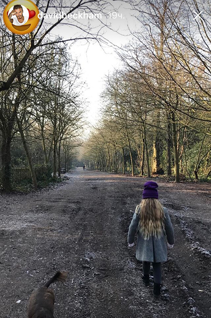 Папина умница: Дэвид Бекхэм показал, как малышка Харпер читает перед сном