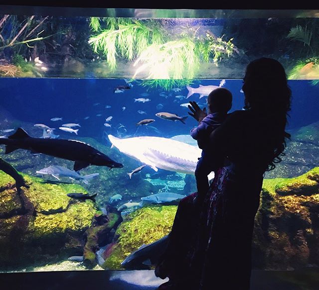 Анна Седокова впервые показала лицо сына Гектора