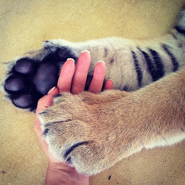 Даша Астафьева инстаграм отдых фото 2014