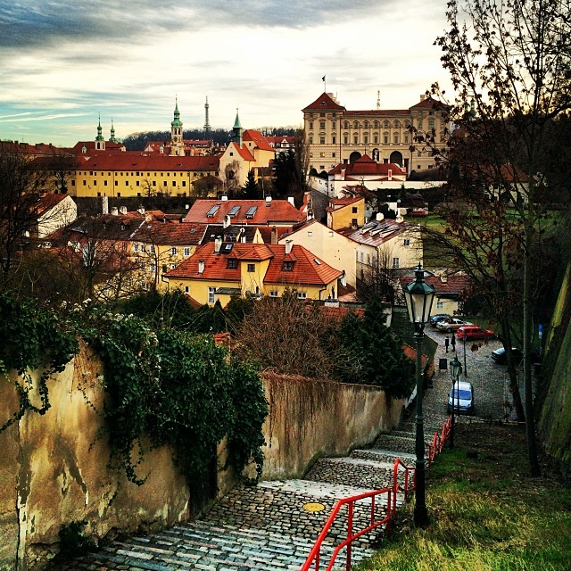 виктория дайнеко фото