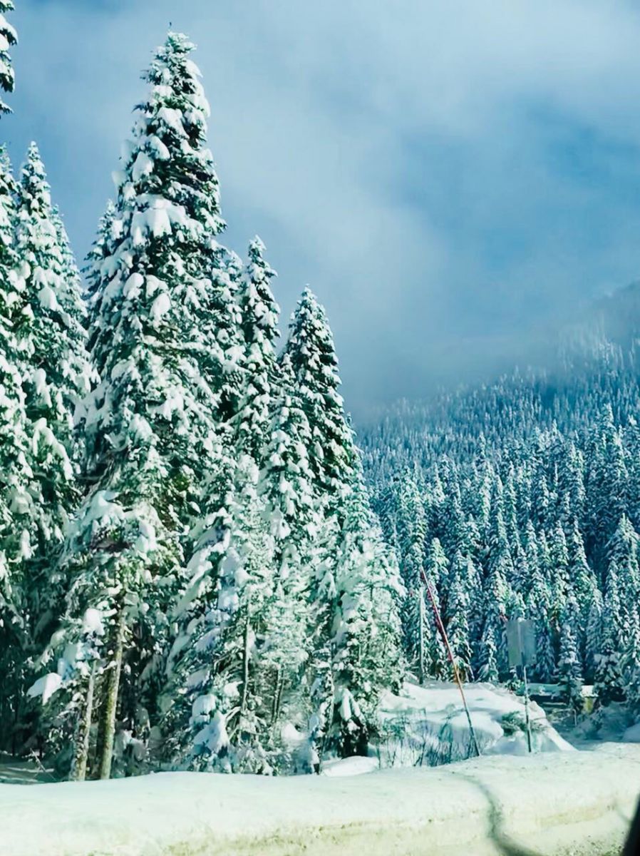 Екатерина Кухар и Александр Стоянов