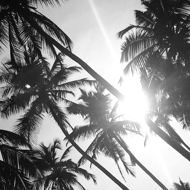 ксения бугримова фото