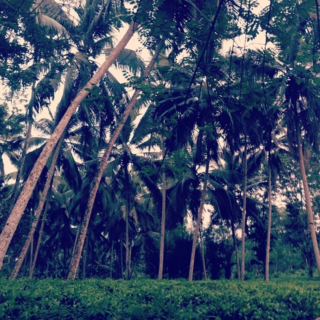 ксения бугримова фото