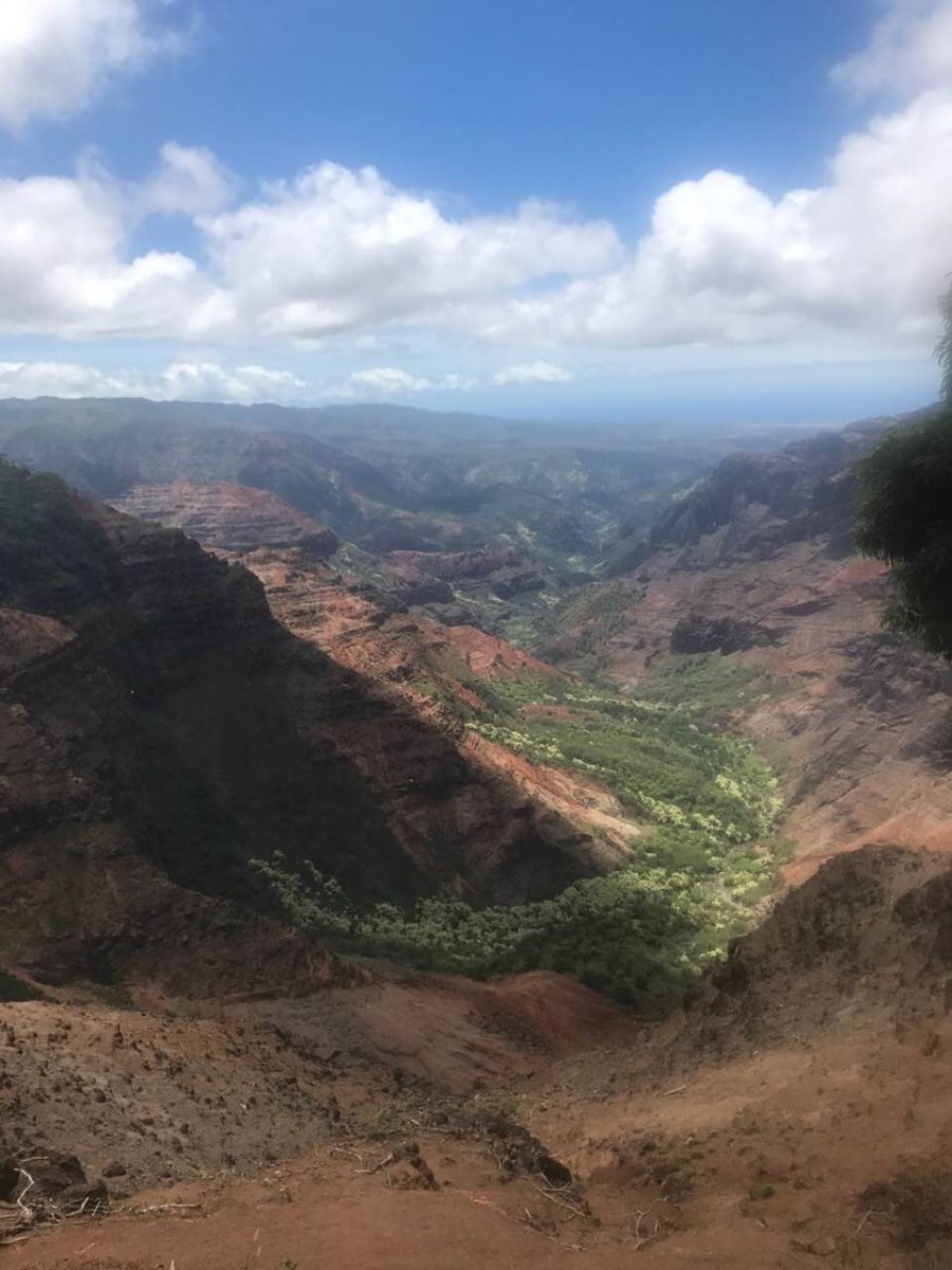 Ассия Ахат отдохнула на Гавайях и искупалась в океане с акулами