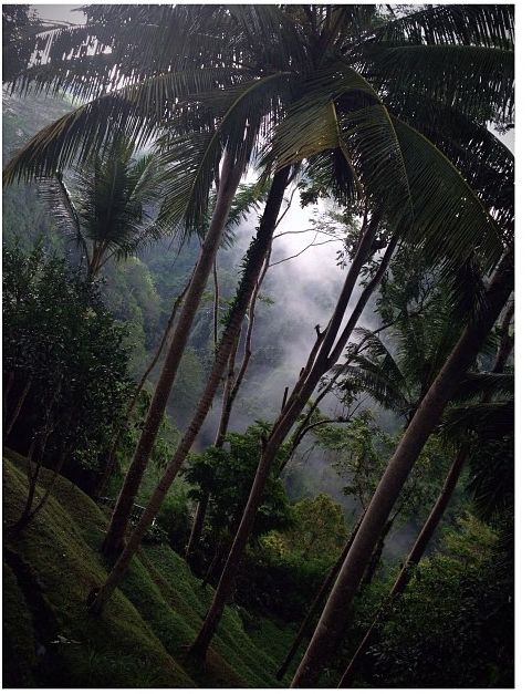 алан бадоев фото