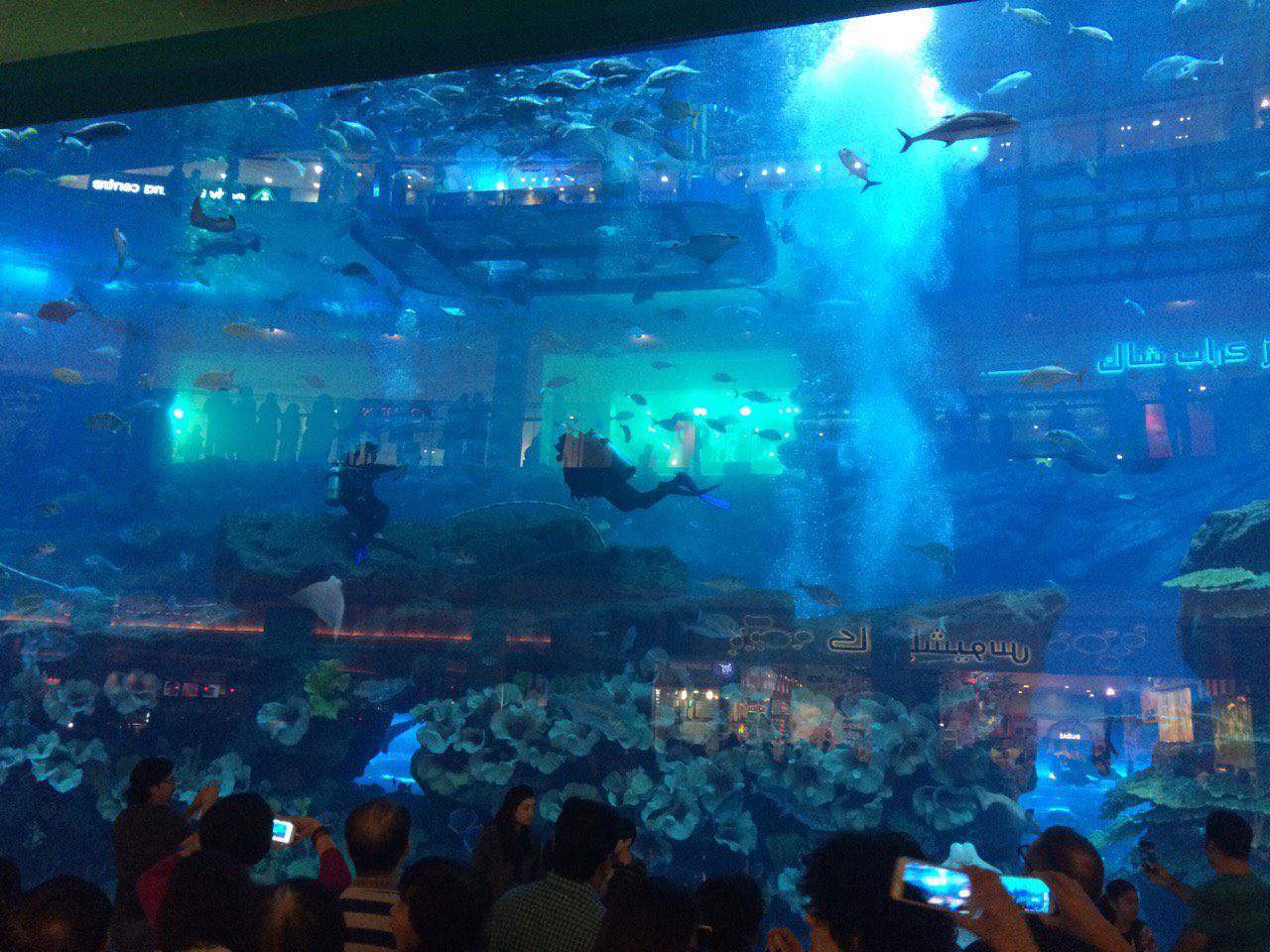 Арсен Мирзоян побывал в ОАЭ