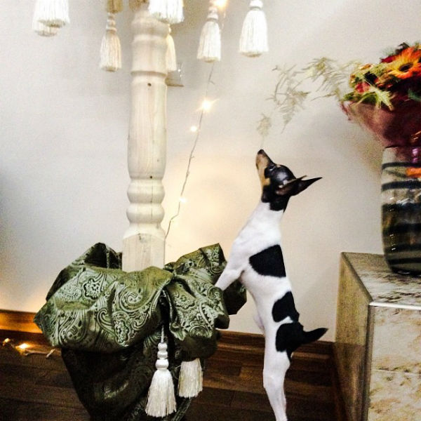 кристина асмус фото