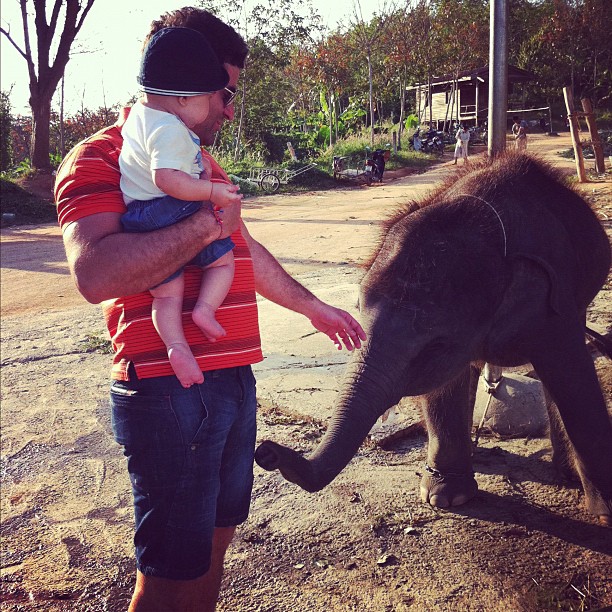 Анфиса Чехова муж сын