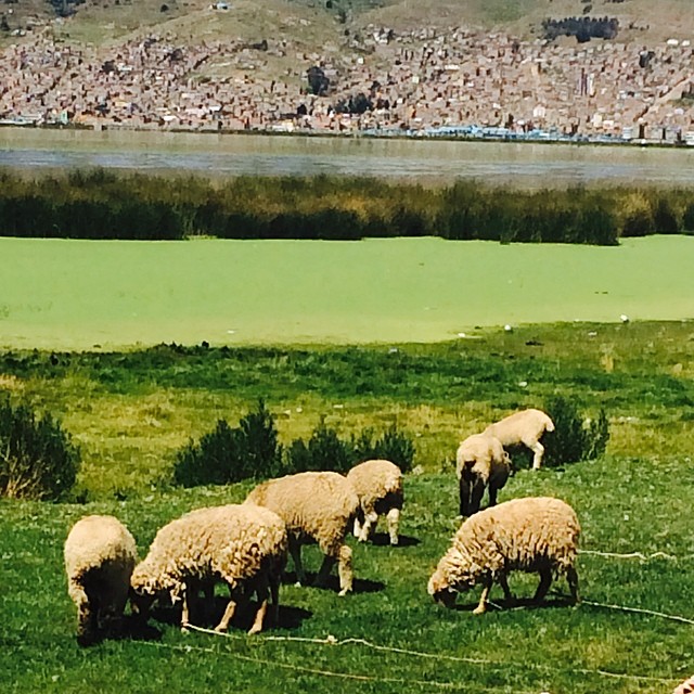 Андрей Искорнев фото