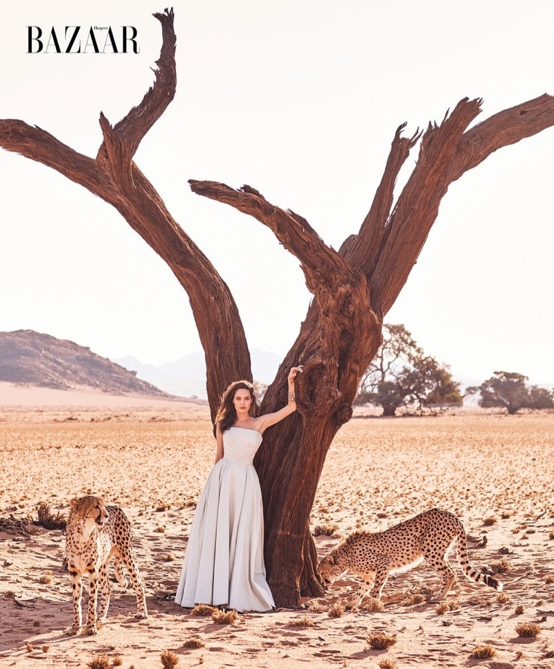 Лучшая фотосессия года: Анджелина Джоли снялась для обложки Harper's Bazaar