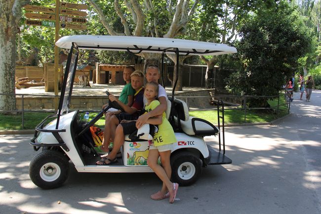 Андрей Доманский фото