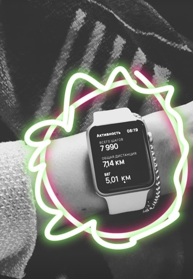 Вместе по жизни: Потап и Настя на пробежке в киевском ботсаду