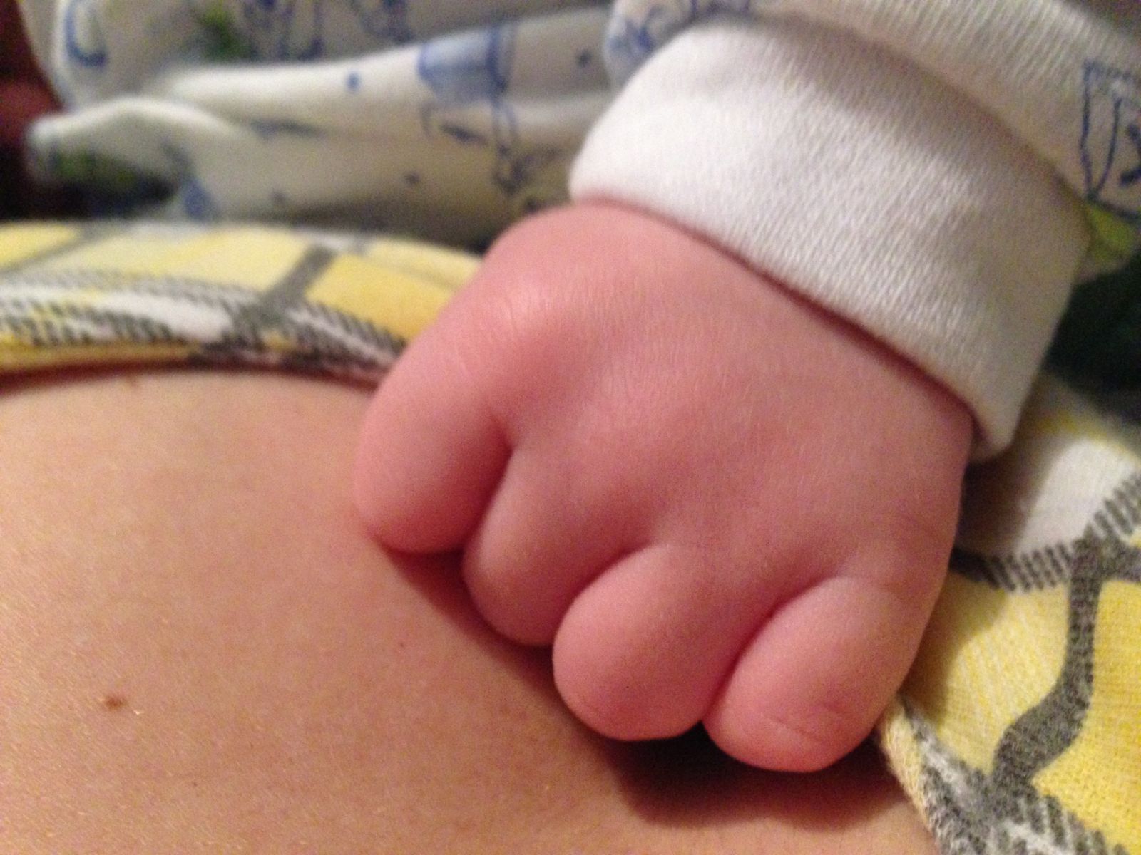 Ольги Цибульской сын Нестор