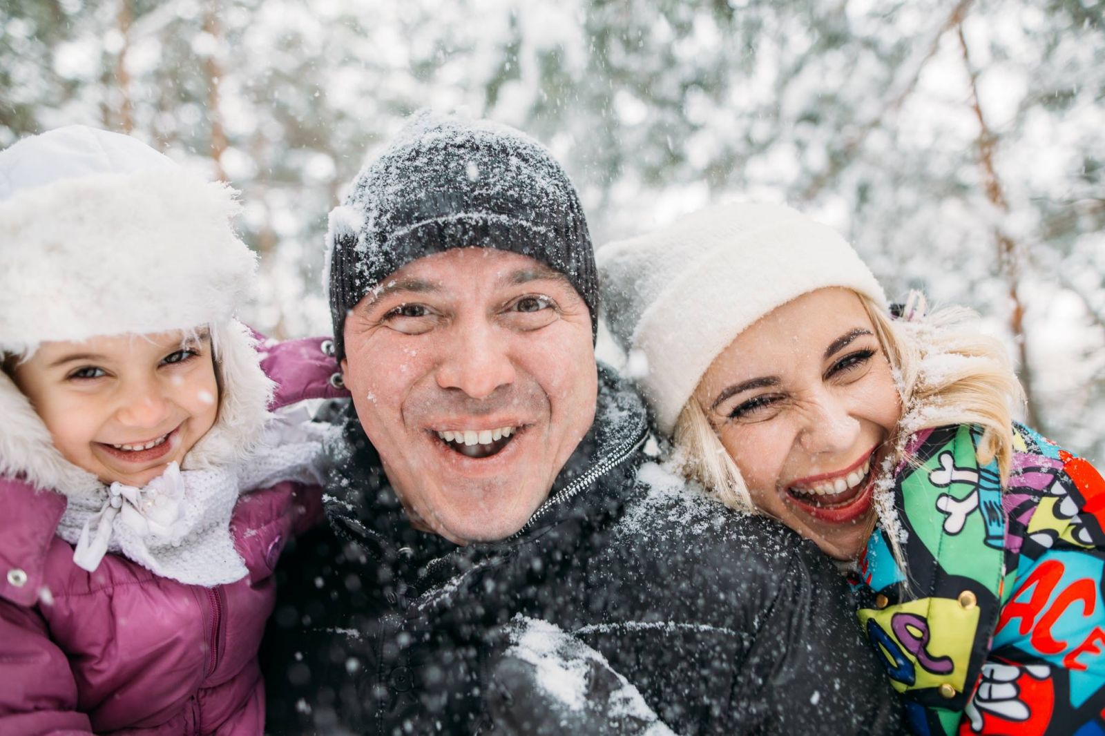 Что приготовить на Новый год? Звезды делятся праздничными рецептами