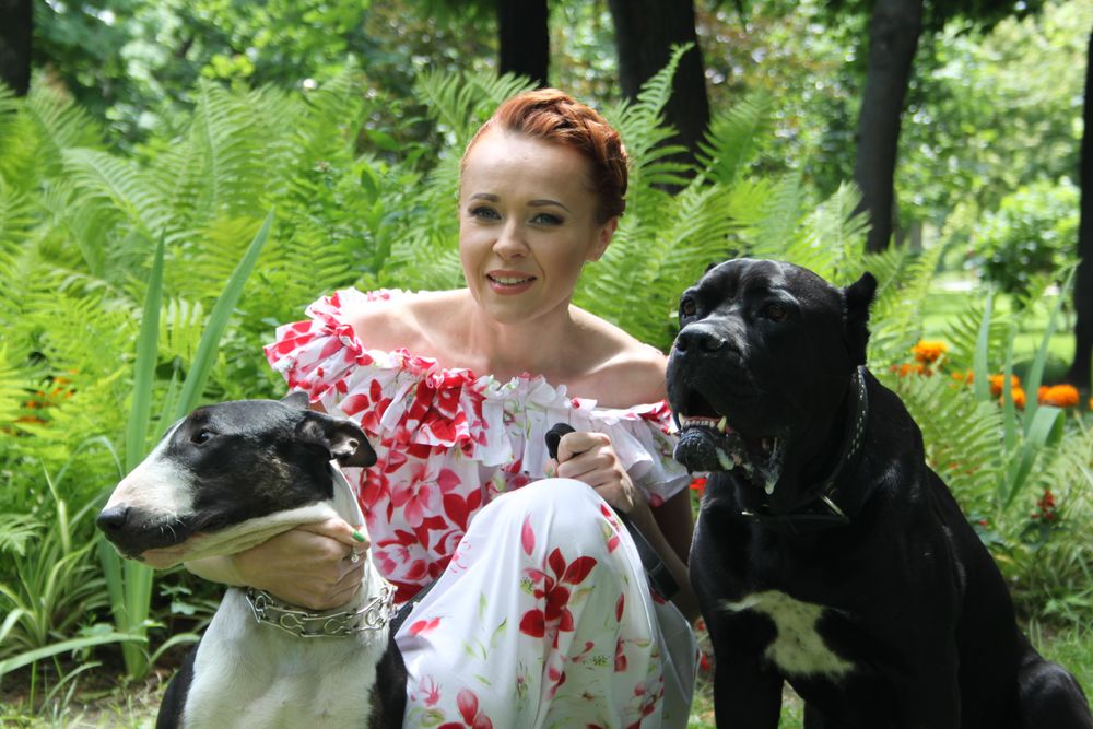 Звезды и их четвероногие друзья отпраздновали День собак