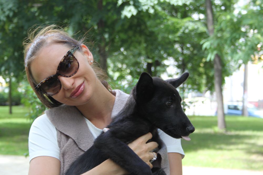 Звезды и их четвероногие друзья отпраздновали День собак