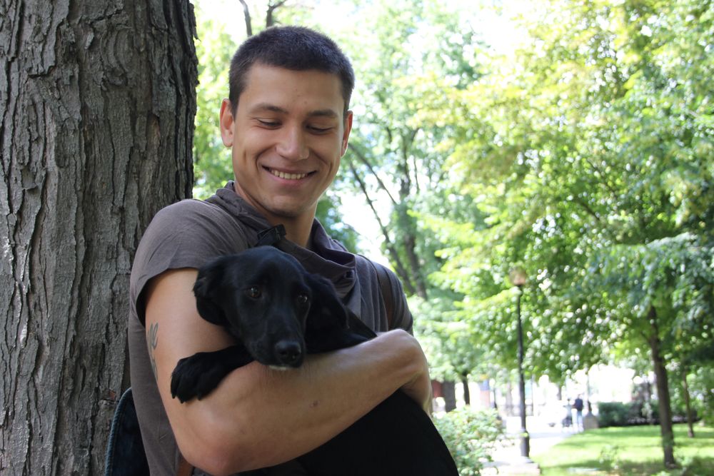 Звезды и их четвероногие друзья отпраздновали День собак